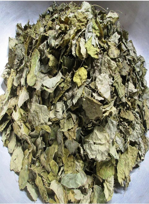 100 Gram Dried Sour-soup creeper, River-leaf creeper LA GIANG Sour-Soup Creeper River-Leaf Seeds Creeper La Lom Organic Non-GMO
