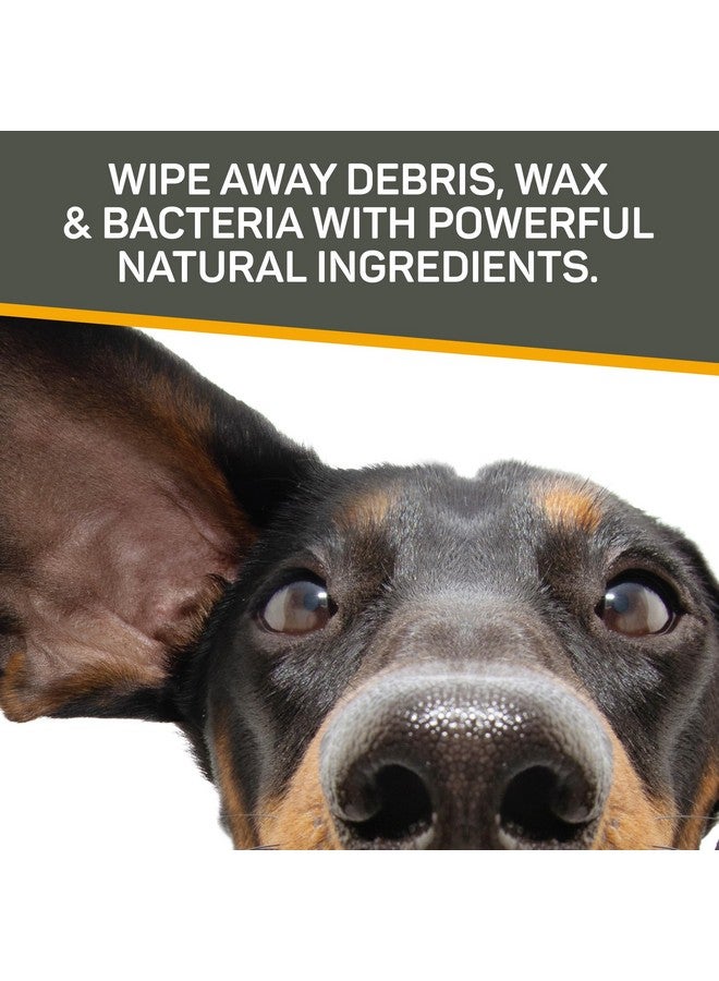 Absorbine Silver Honey Rapid Ear Care Vet Strength Pet Wipes, 50Ct, Manuka Honey & Microsilver Bg - Image 5