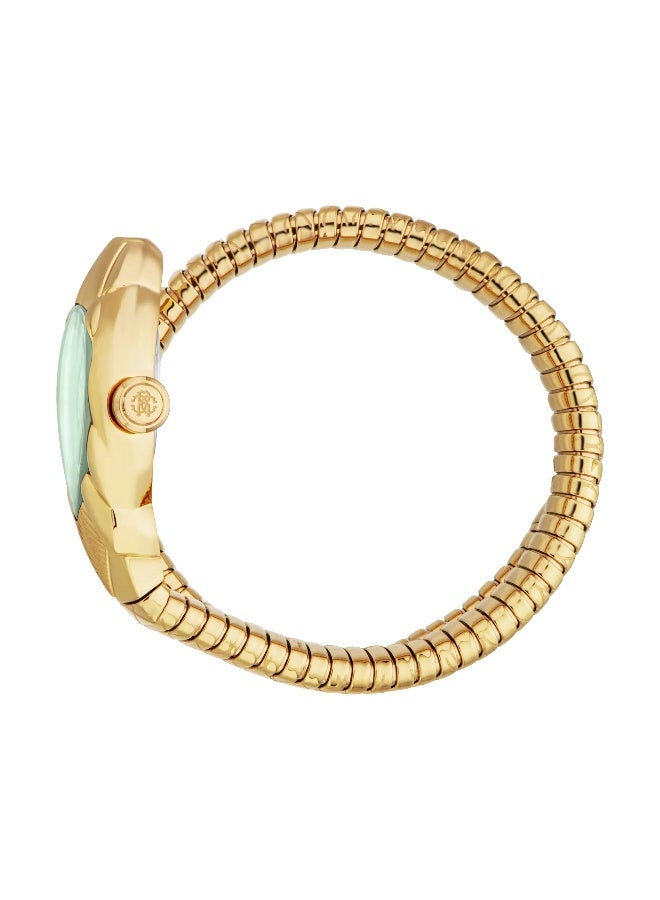 roberto cavalli روبرتو كافالي RC5L110M0045 - ساعة كوارتز نسائية من الفولاذ المقاوم للصدأ 3 عقارب - Image 2