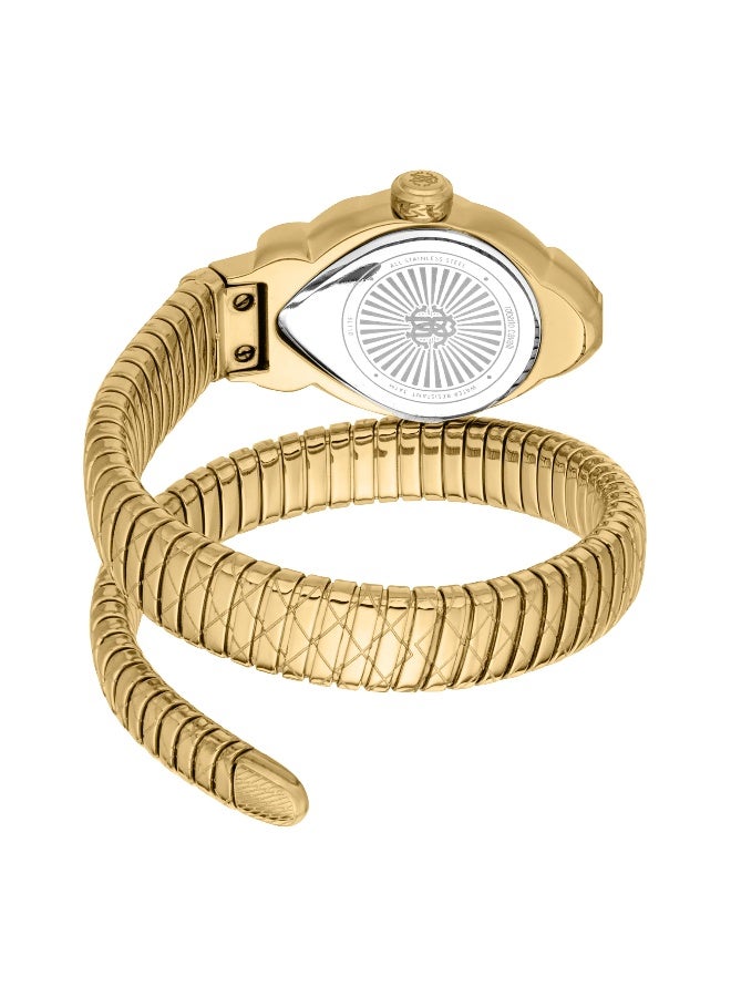 roberto cavalli روبرتو كافالي RC5L110M0045 - ساعة كوارتز نسائية من الفولاذ المقاوم للصدأ 3 عقارب - Image 3