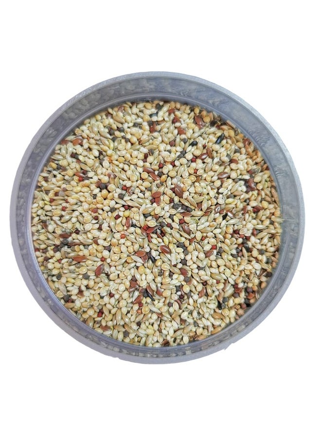 Australian Parakeet and Budgerigar Food Mixed Grains and Energy Seeds from Shen Birds Feed 1kg