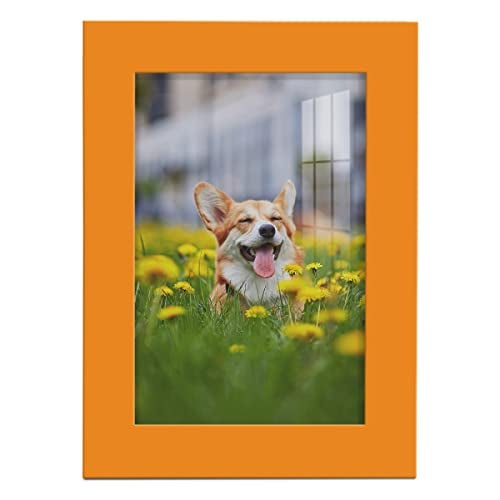 Renditions Gallery 5x7 inch Picture Frame High-end Modern Style, Made of Solid Wood and High Definition Glass Ready for Wall and Tabletop Photo Display, Orange Frame - Image 1