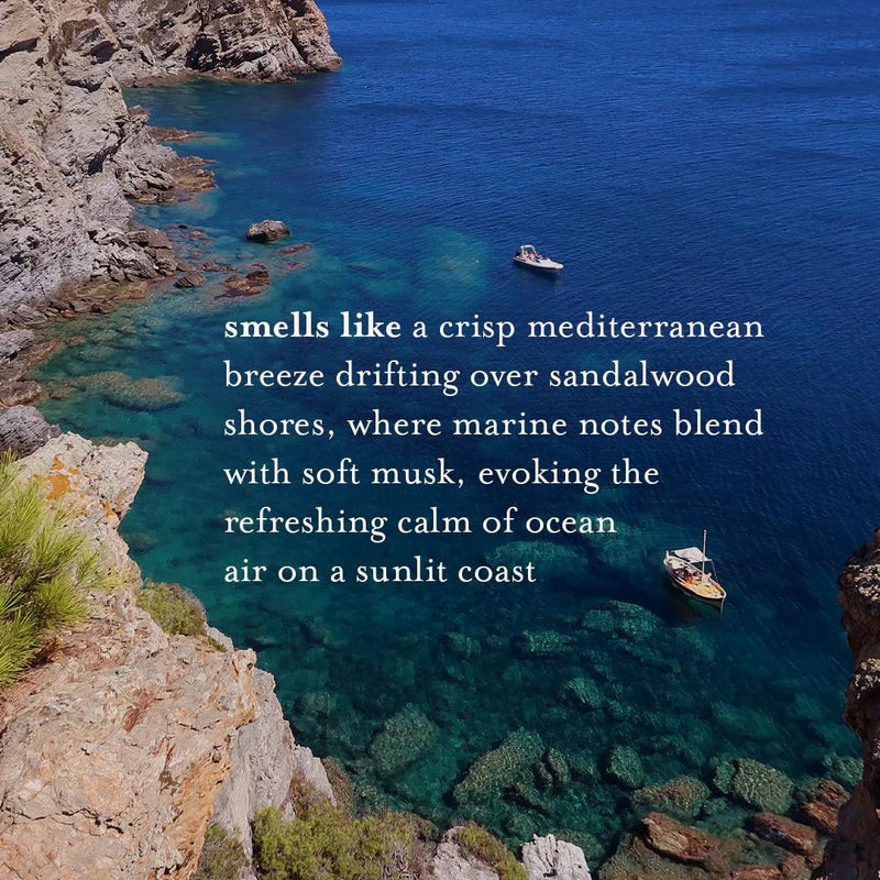 A LA MAISON Fresh Sea Salt Bar Soap - Triple French Milled Natural Moisturizing Hand Soap Bar (4 Bars of Soap, 3.5oz) - Image 3