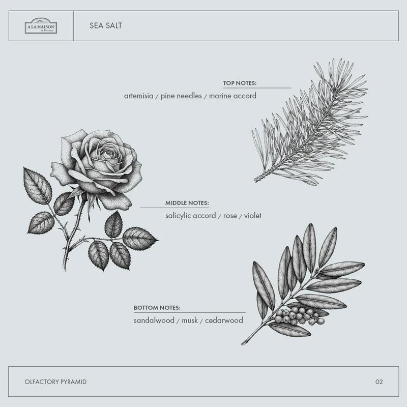 A LA MAISON Fresh Sea Salt Bar Soap - Triple French Milled Natural Moisturizing Hand Soap Bar (4 Bars of Soap, 3.5oz) - Image 2