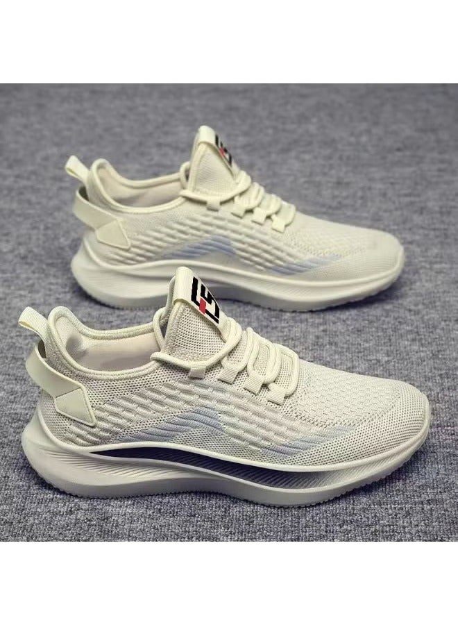 أحذية فالكهاني للرجال، أحذية شبكية خفيفة الوزن ومريحة، أحذية رياضية للرجال بأزياء الخريف، أحذية مسطحة للانزلاق للرجال.