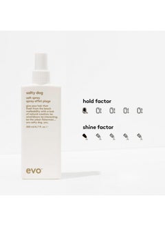 EVO EVO Salty Dog Salt Spray - Hair Texture & Volume Spray - Beach Textured Hair, Natural Matte Finish - 200ml / 6.8fl.oz  - Image 2