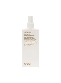 EVO EVO Salty Dog Salt Spray - Hair Texture & Volume Spray - Beach Textured Hair, Natural Matte Finish - 200ml / 6.8fl.oz  - Image 1