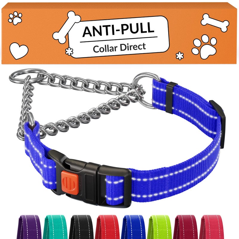CollarDirect Martingale Dog Collar with Stainless Steel Chain and Quick Release Buckle - Reflective Collar for Large, Medium, Small Dogs - Blue, Small (Neck Size 12"-15") - Image 1