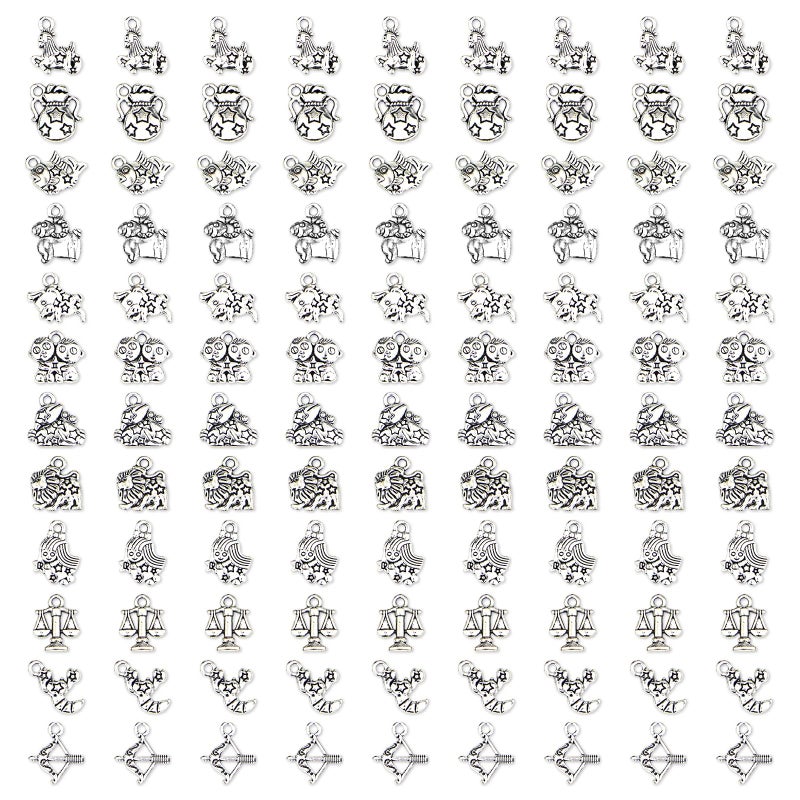 JIALEEY Zodiac Sign Charms Smooth Tibetan Silver Metal Horoscope Charms Pendants DIY for Necklace Bracelet Jewelry Making and Crafting 9 Sets 108 PCS