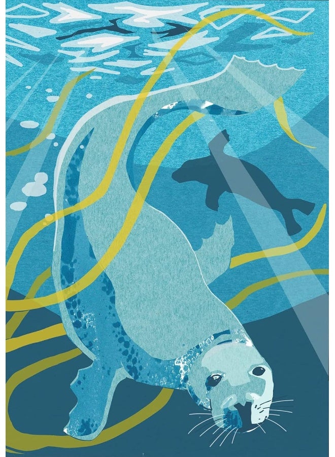 Nature Notebook: Seal  - Image 1