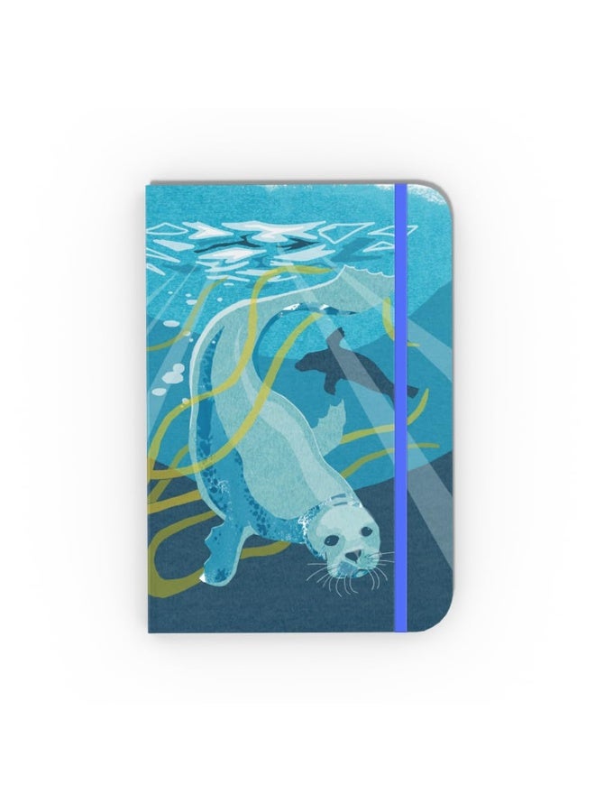 Nature Notebook: Seal  - Image 2