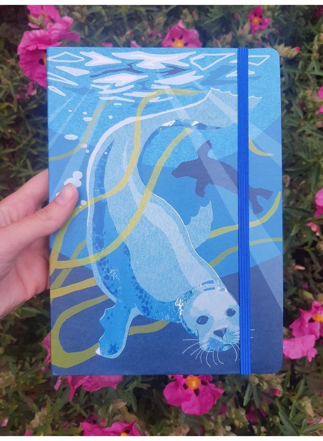 Nature Notebook: Seal  - Image 3