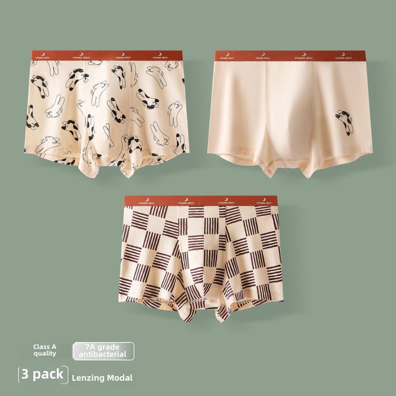 Youth Modal Antibacterial Boxer Briefs 12+ Dalmatians MDEPJ731 