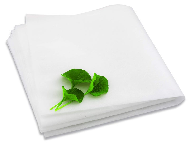 Toddy نظام تحضير القهوة الباردة تودى - نموذج تجاري - فلتر خالي من الأشجار - عبوة 20 فلتر أبيض