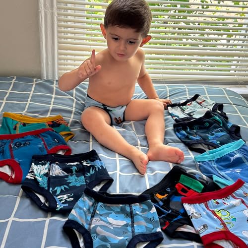 BIG ELEPHANT 10-Packs Training Underwear Absorbent Toddler Potty Trained Pants for Boys and Girls, 3T - Image 2