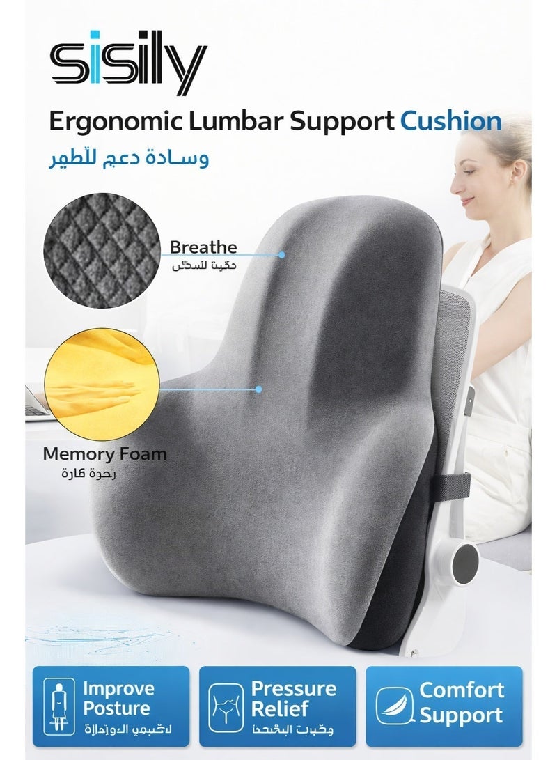 Sisily Ergonomic Lumbar Support Pillow Memory Foam Back Cushion for Office Chair, Car Seat & Recliner – Breathable Mesh Back Support for Back Pain Relief & Posture Improvement - Image 1