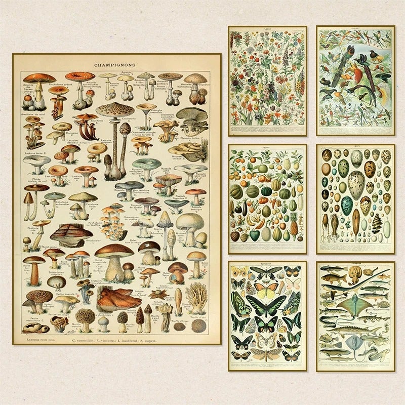 Retro Poster Mushroom Biological Figure Decorative Painting Core Teaching Study Living Room Canvas Painting - Image 1