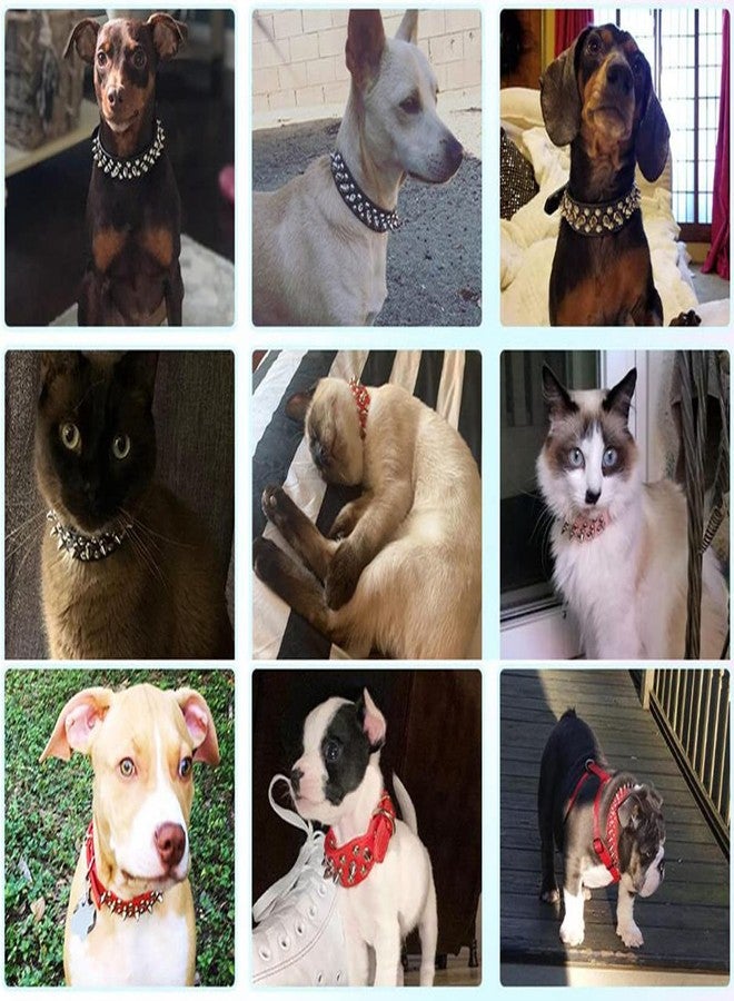 TELEYI Green Dog Spike Collars,Mushroom Rivet Spike Puppy Collars Girls Boys Leather Studded Cat Collar Adjustable Metal Buckle Durable Training for XXS XS Small Medium Large Terrier Breed,XSmall - Image 4