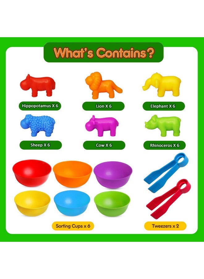 JOCHA Color Sorting And Counting Animals Toys For Toddlers 3 5 4 Years Old Preschool Matching Learning Educational Game Montessori Sensorys Math Classification Activities Toys For Kids Boys Girls - Image 2
