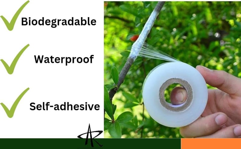 TRUEBOND 1 inch x 100meter Grafting Stretchable Tape for Nursery and Garden, Biodegradable Plant Repair Tapes Self-Grafting Clear Film for Fruit, Floral, Tree and Plants Grafting Film Tool (1) - Image 2