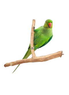 CHEWY BEAK Birds Stand Java wood Medium Parrots Ringed Rose Mini Macaw Rosella Wooden Perch Natural Indonesian Wooden Tree branch Cage Accessories stick  - Image 1