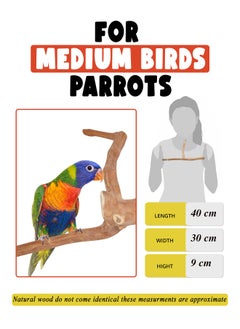 CHEWY BEAK Birds Stand Java wood Medium Parrots Ringed Rose Mini Macaw Rosella Wooden Perch Natural Indonesian Wooden Tree branch Cage Accessories stick  - Image 2