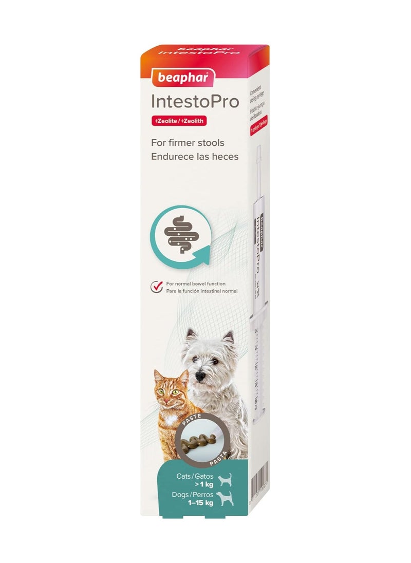 Beaphar IntestoPro Anti Diarrhea Paste Syringe Small Dog & Cat 20ml - pzsku/ZCB0D9DA607C5199CE0F3Z/45/_/1731939027/facb7d91-e277-4be9-a411-46d882eca481