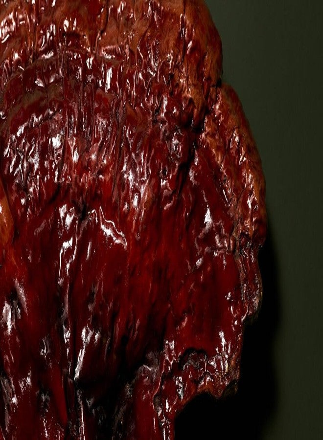 بابور كريم بابور دكتور المضاد للإجهاد الميكروبيومي بالفطر (50 مل - مرطب مغذي للوجه بمضادات الأكسدة - عناية احترافية بالبشرة نباتية) - Image 5