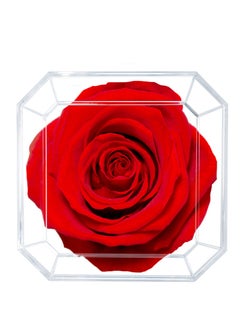 Eternal Petals,  A 100% Real Rose That Lasts Years - Gold Solo (Red) - pzsku/ZCB0F525FAC86034C570BZ/45/_/1645696985/d78e2039-fbef-4656-867c-c3bc49d9dfa0