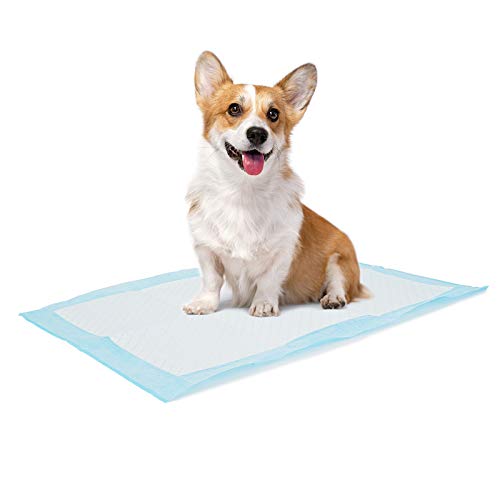 Bolux Dog and Puppy Training Pads, 13”×18” Disposable Dog Pee Pads, 100/Counts Ultra Absorbent & Leak-Proof Pet Underpads, Dry Quickly Pee Pad for Dog Cats Rabbits or Other House Training Pet - Image 1