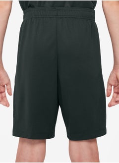 Nike Youth Cfc Dri-Fit Shorts  - Image 2