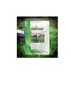 Agrimax Super Mombaca F1 Premium Quality Seeds (Made in Spain) by Agrimaxgroup