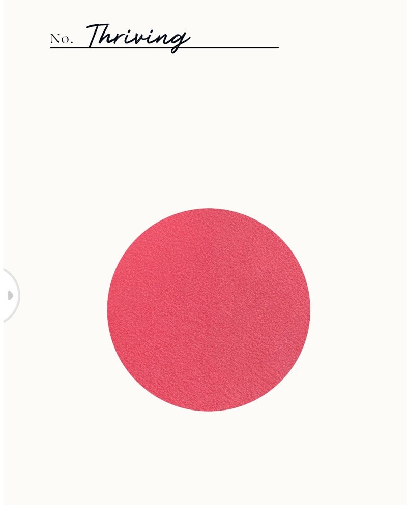 Soft Pinch Matte Bouncy Blush - Shade: Thriving (Bright Raspberry - Matte Finish) - Image 3