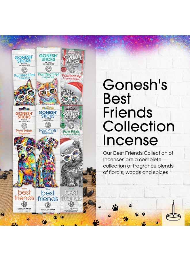 Gonesh - Best Friends Purrrfect Pet Collection - Incense Sticks Variety Pack - Non-Toxic 10” Slow Burn Aromatic Sticks - Willow, Molly And Dexter - 30 Sticks Each - Image 1