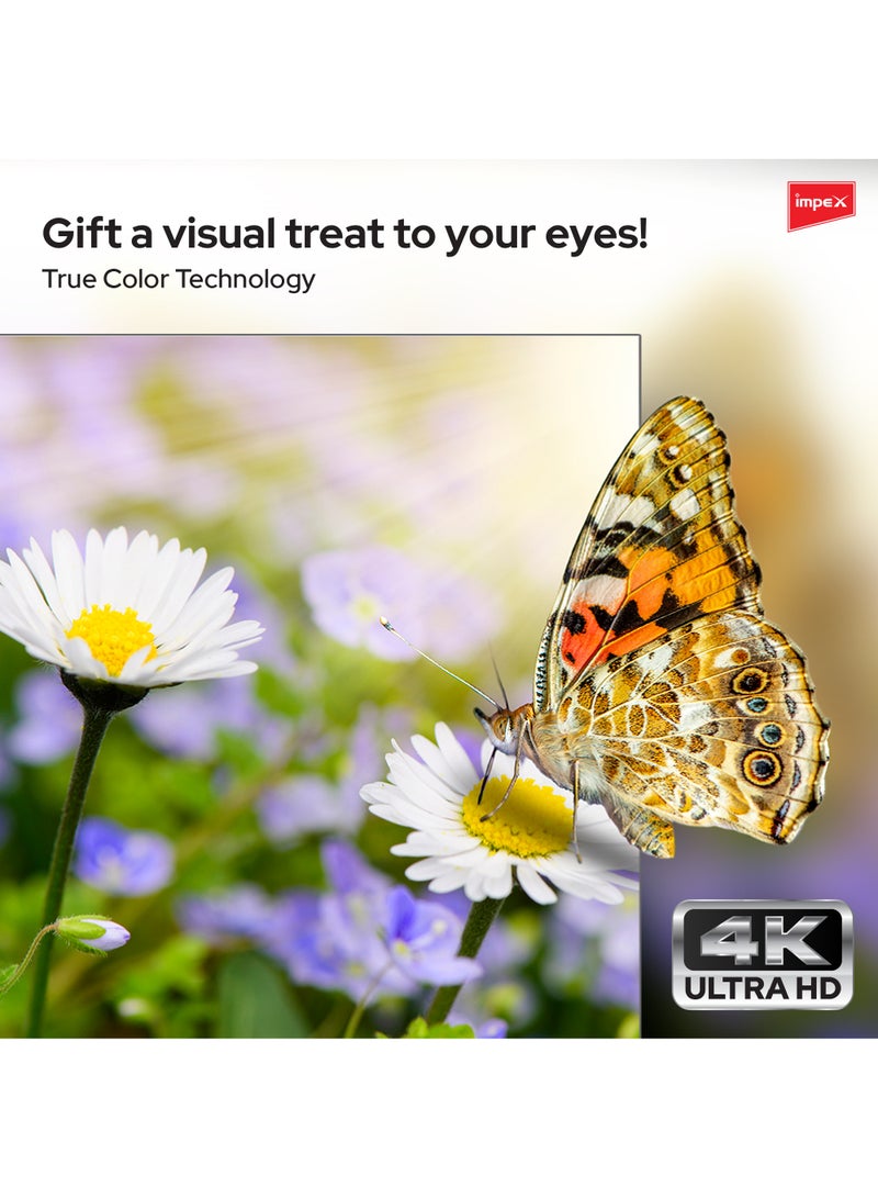 إمبكس تلفزيون LED ذكي 65 بوصة UHD 4K - أندرويد، معالج رباعي، تصميم بدون إطار، لوحة A+، واي فاي، 3 منافذ HDMI، منفذين USB، DVB-T2، RJ45، دقة 3840x2160، توفير ذكي للطاقة، ضمان سنتين - Gloria 65 UHD Smart - أسود GLORIA 65 UHD SMART أسود - Image 5