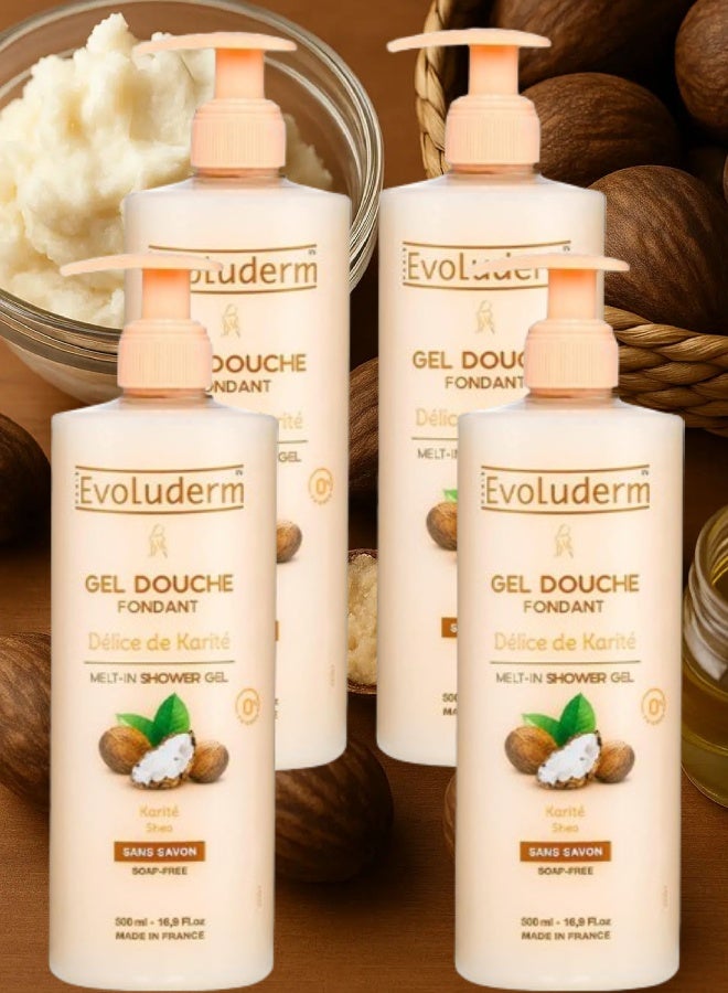 إيفو لوديرم 4 قطع جل الاستحمام إيفولوديرم ديلايت بزبدة الشيا 500مل - Image 1