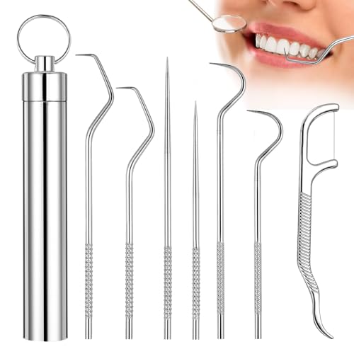 Gozaqe 7 Pcs Stainless Steel Dental Floss Toothpicks Set With Aluminum Tube - Portable Teeth Cleaning Picks Flosser for Personal Care and Braces - Image 1
