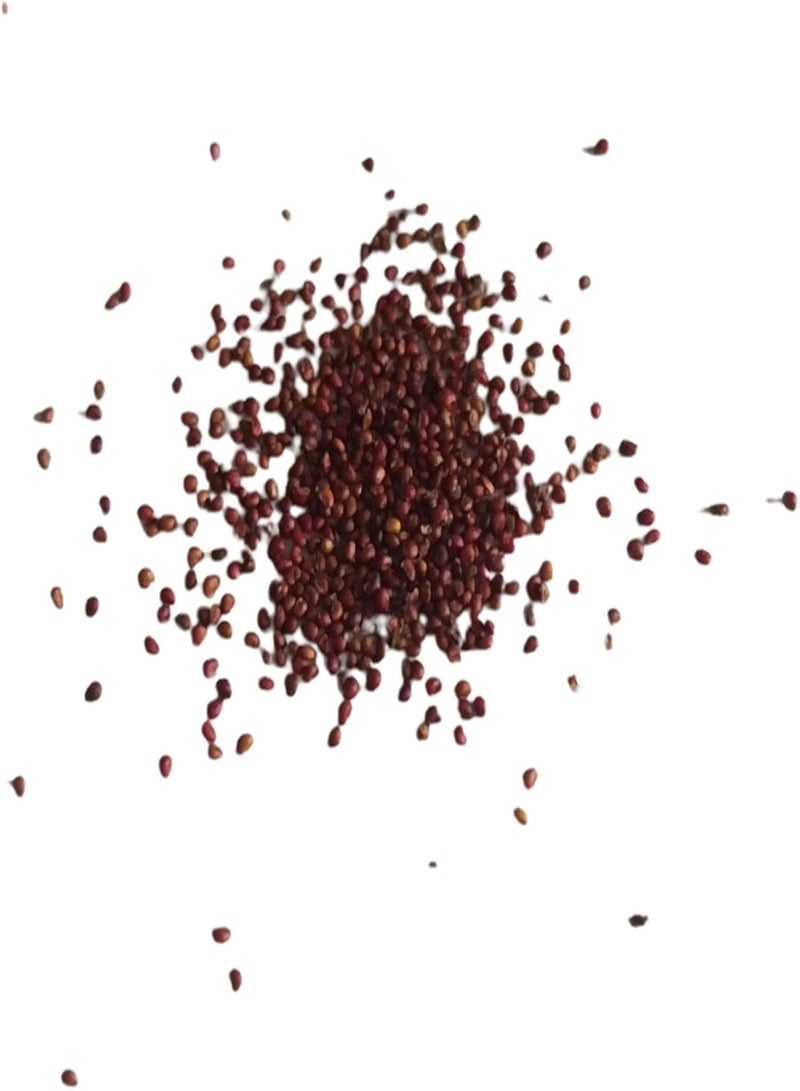 GGOOT Seed for Planting,200Pcs Rare Black Strawberry Seeds Bonsai Delicious Fruit Garden Plant Decor-Strawberry Seeds - Image 2