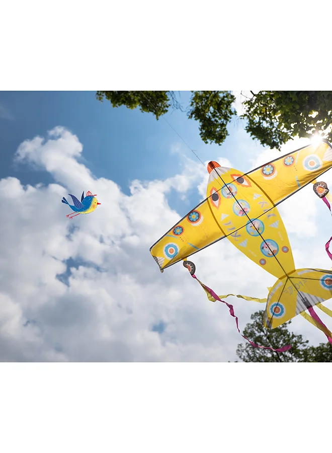 DJECO Maxi Plane Kite