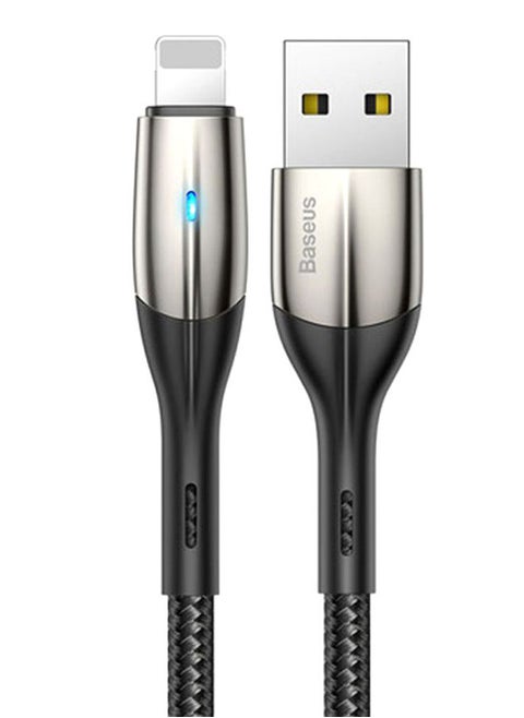 iPhone Charger Lightning Cable-Fast Charging Nylon Braided Phone Cord Compatible with 13 12 Pro Max 11 XR XS 10 8 Plus 7 6 6s 5c,SE 2020,iPad Black