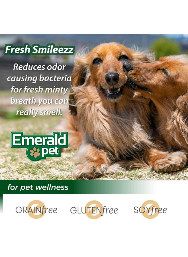 إميرالد بيت مكافآت أسنان الكلاب من إيميرالد بيت فريش سمايليز - مكافآت أسنان طبيعية لذيذة ومضغية للكلاب لأسنان نظيفة ونفس منعش ولثة صحية - مضغ أسنان خالٍ من الحبوب - صنع في الولايات المتحدة الأمريكية - كبير، 12.5 أونصة - Image 4