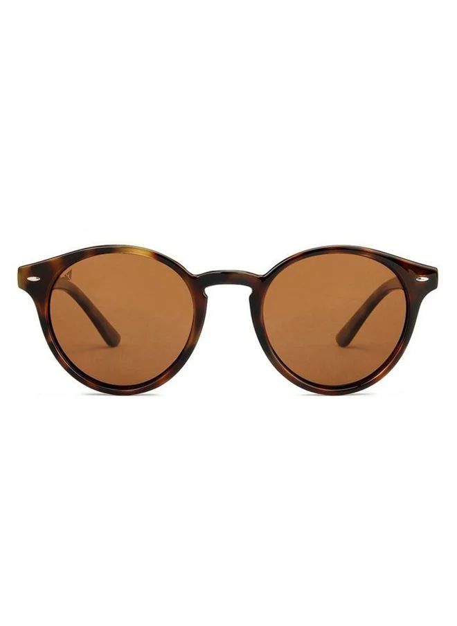 VINCENT CHASE VINCENT CHASE EYEWEAR Adult's Round Sunglasses Tortoise Frame, Brown Lens (Large)