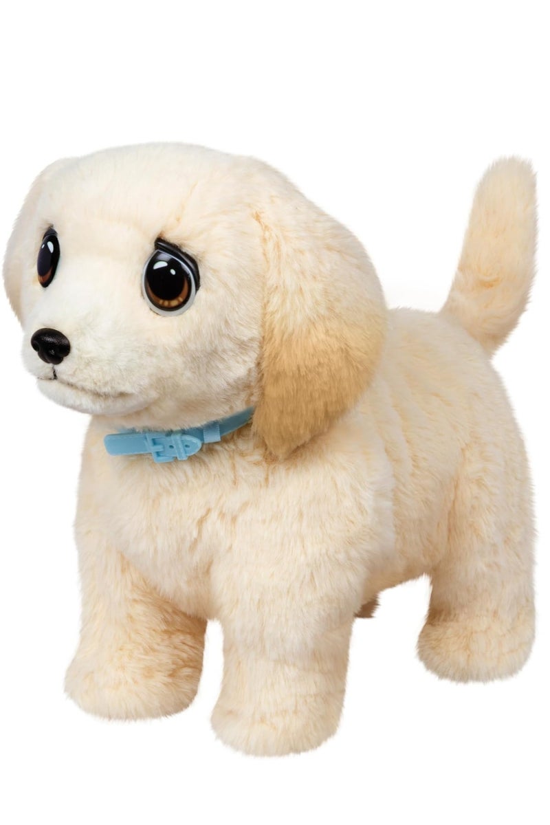 Little Live Pets Ouchies Deluxe Single Pack – Cooper | Interactive Rescue Plush Pet with Realistic Cries & Deluxe Accessories | Kids Soft Toy Gift - Image 5
