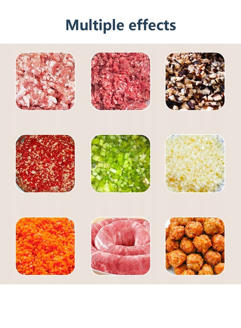 ET-LIFE Meat Grinder, Meat Mincer, Metal Cutting Plates/Accessories/Metal Gears/Stainless Steel Blades for Grinding Meat, Fish, Vegetable, Sausage Maker M2 White - Image 5