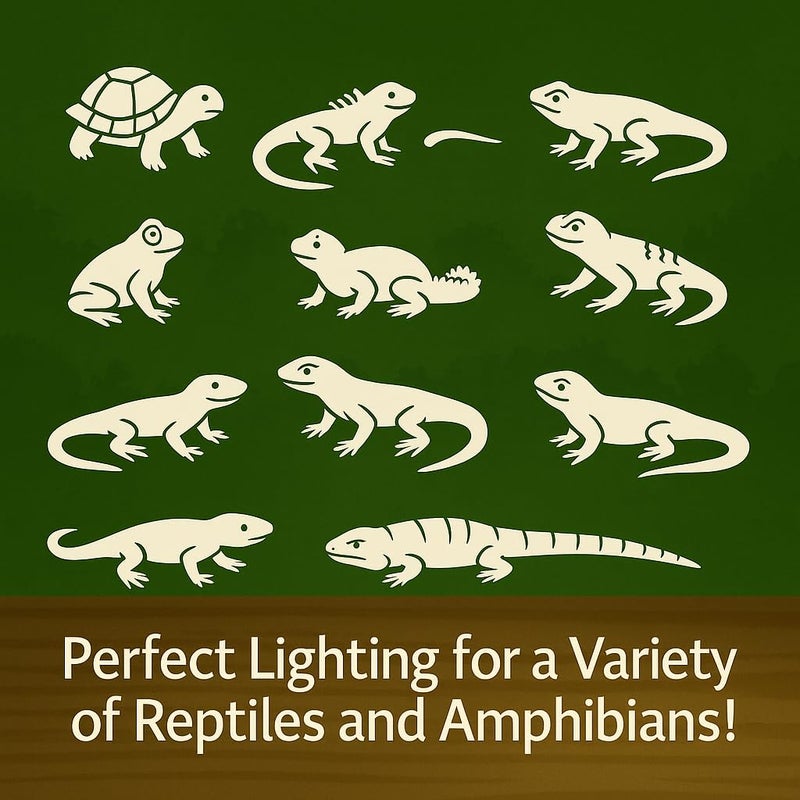 VAYINATO PetzLifeworld 50W Black Reptile Heat Lamp Turtle Lights with Clip, UVA UVB Bulbs Aquarium Basking Lamp Adjustable Holder and Intensity Suitable for Birds During Winter and Reptiles - Image 5