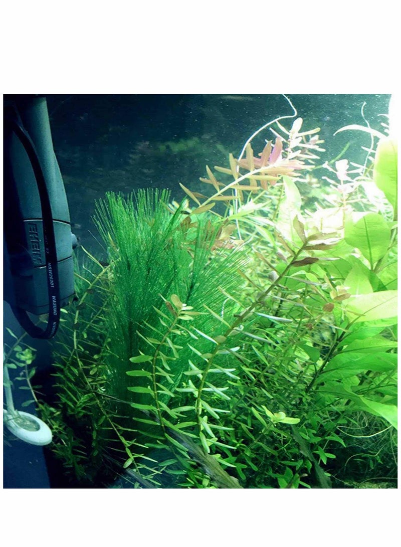 SOLARAE 3 Pcs Artificial Seaweed Water Plants for Aquarium, Plastic Green Plants Aquarium Decorations for Fish Tank, Home Décor - Image 2