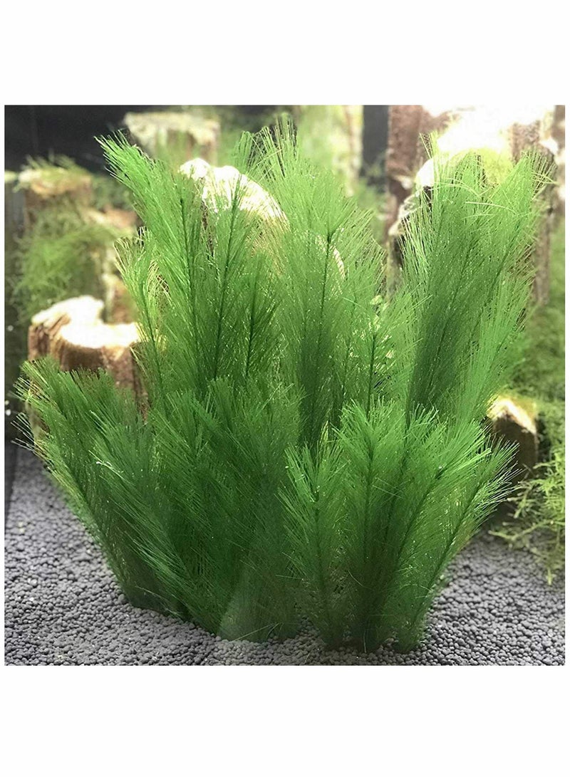 SOLARAE 3 Pcs Artificial Seaweed Water Plants for Aquarium, Plastic Green Plants Aquarium Decorations for Fish Tank, Home Décor - Image 4