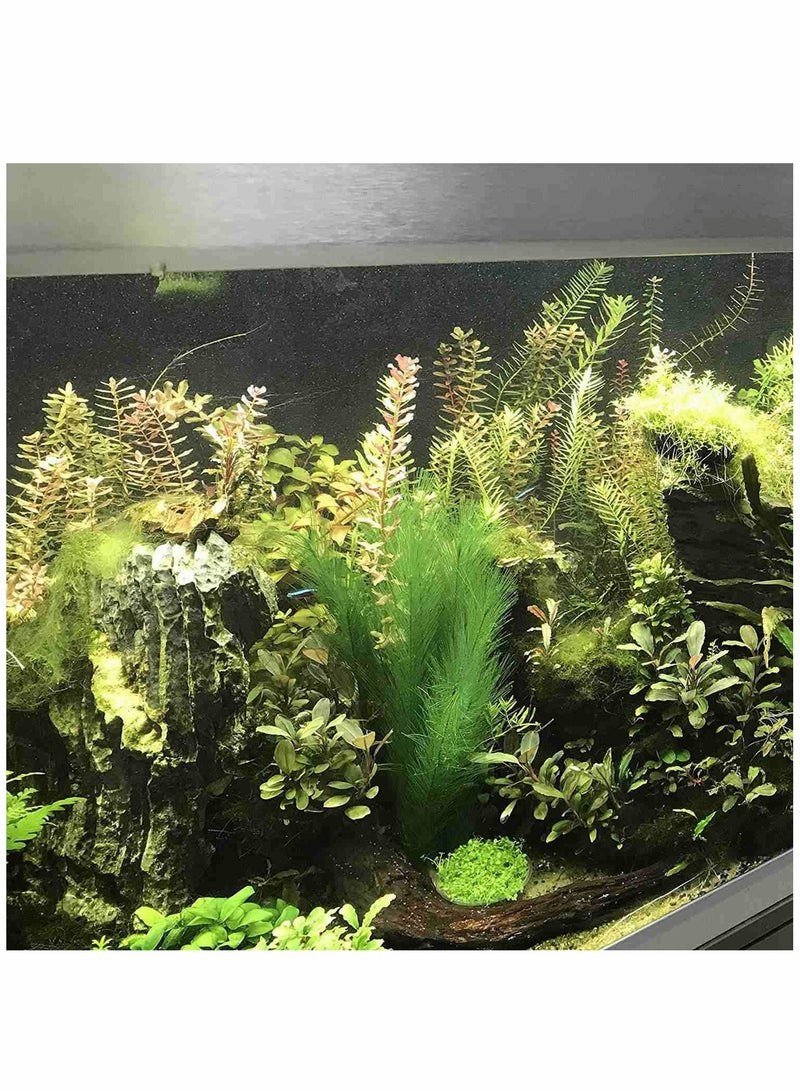 SOLARAE 3 Pcs Artificial Seaweed Water Plants for Aquarium, Plastic Green Plants Aquarium Decorations for Fish Tank, Home Décor - Image 3