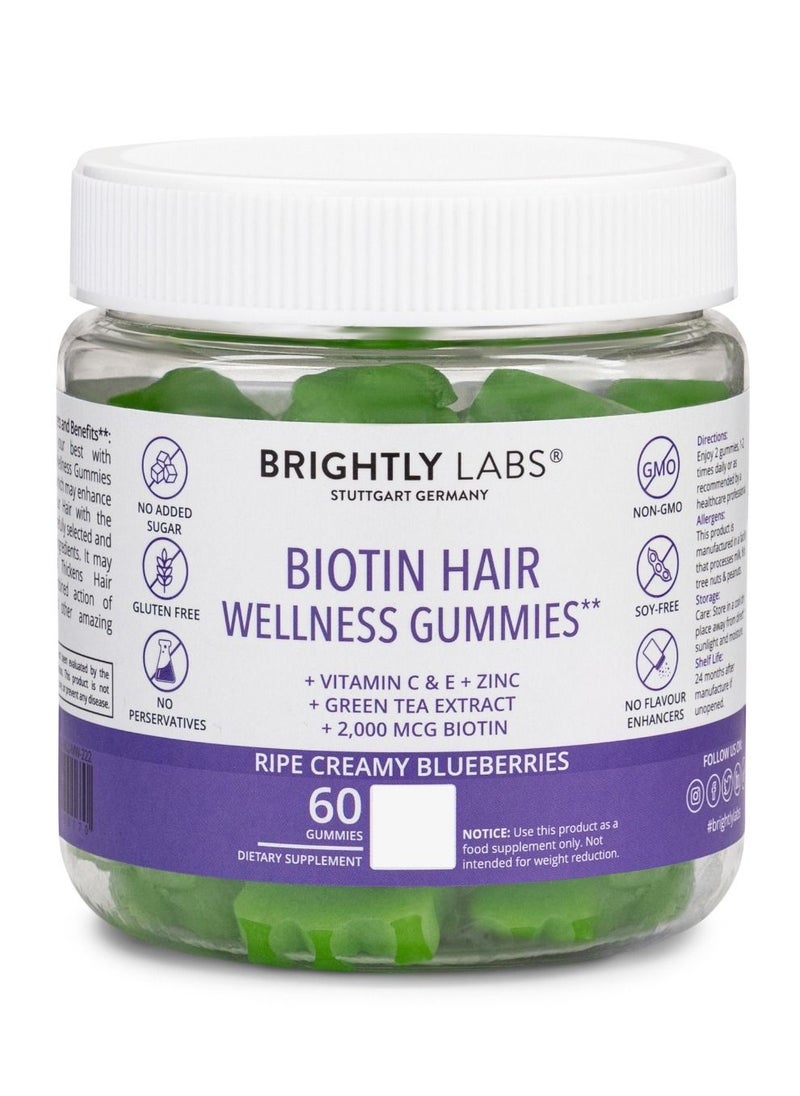 Elevate Your Hair Care Routine: Biotin Hair Wellness Gummies, Vegan & Sugar-Free, Creamy Blueberry Flavor, Enriched with Biotin & Zinc, 60 Gummies Nourish Your Hair Naturally - pzsku/ZCB1C3CABB22963CDEA5BZ/45/_/1690603043/8e3bcbf0-8828-4a34-abd9-2e1c91f5bb46