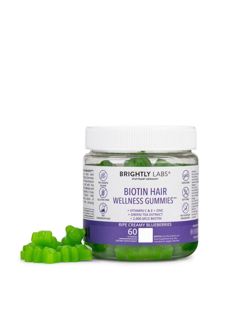 Elevate Your Hair Care Routine: Biotin Hair Wellness Gummies, Vegan & Sugar-Free, Creamy Blueberry Flavor, Enriched with Biotin & Zinc, 60 Gummies Nourish Your Hair Naturally - pzsku/ZCB1C3CABB22963CDEA5BZ/45/_/1690603043/d6ad4887-ce55-42f0-b547-c114c0646999